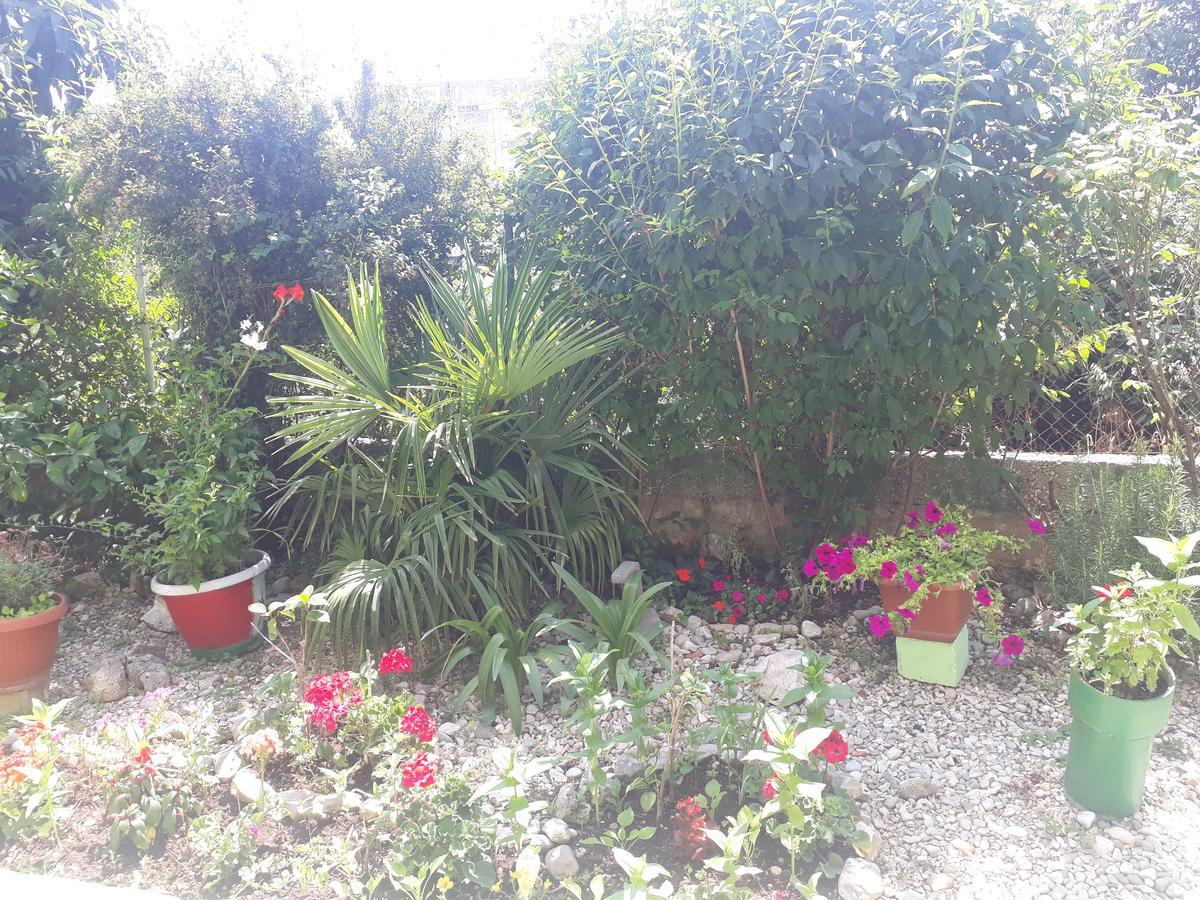 Green Hostel Zadar Extérieur photo